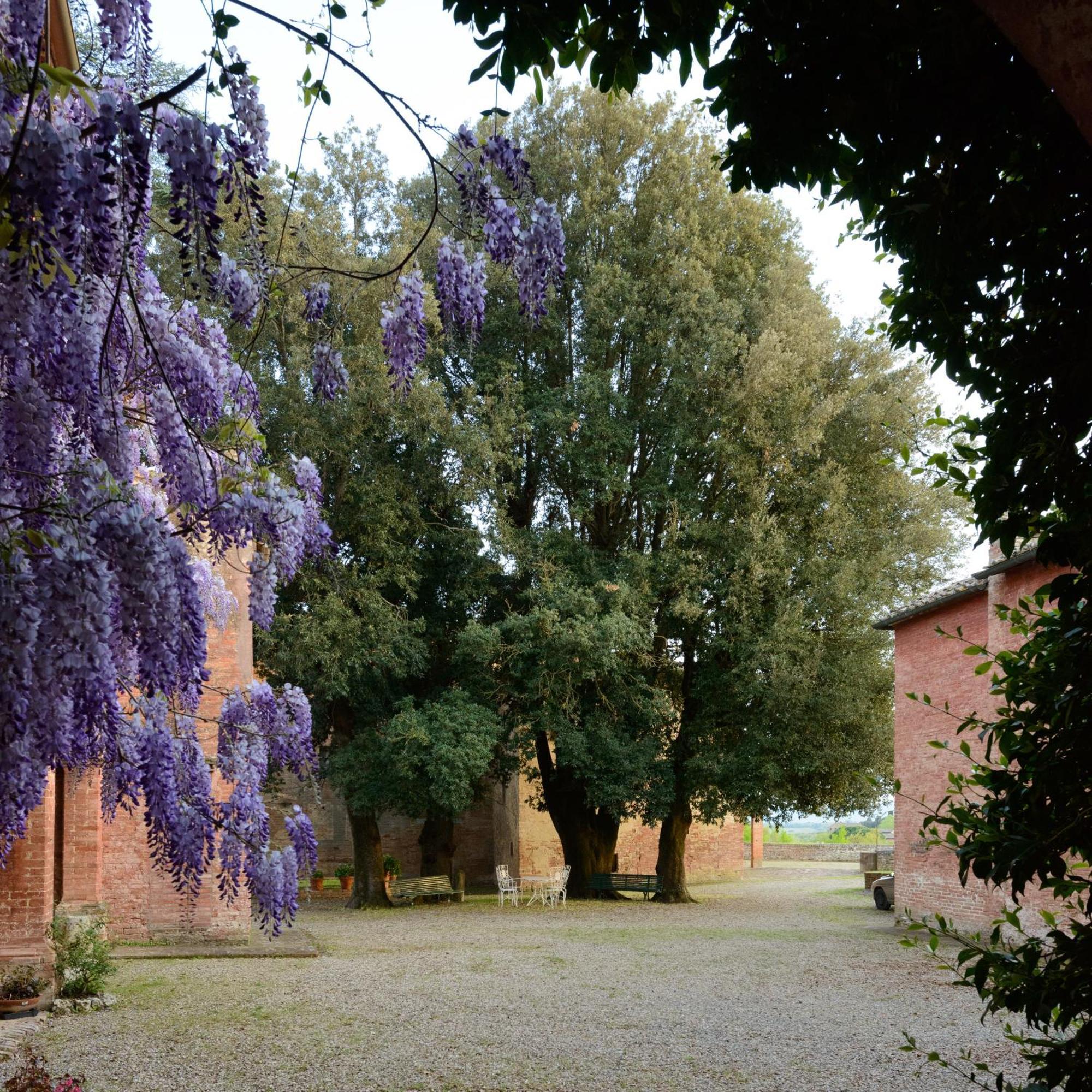 Al Glicine Di Sant'Abondio Villa Siena Exterior photo