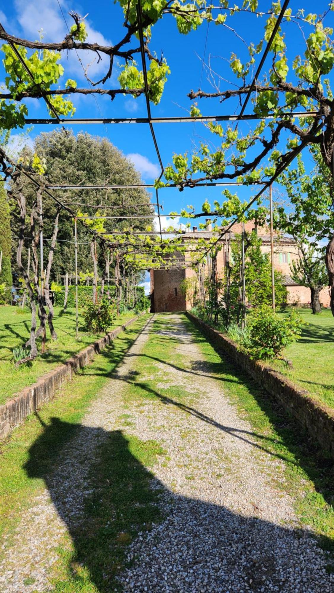 Al Glicine Di Sant'Abondio Villa Siena Exterior photo