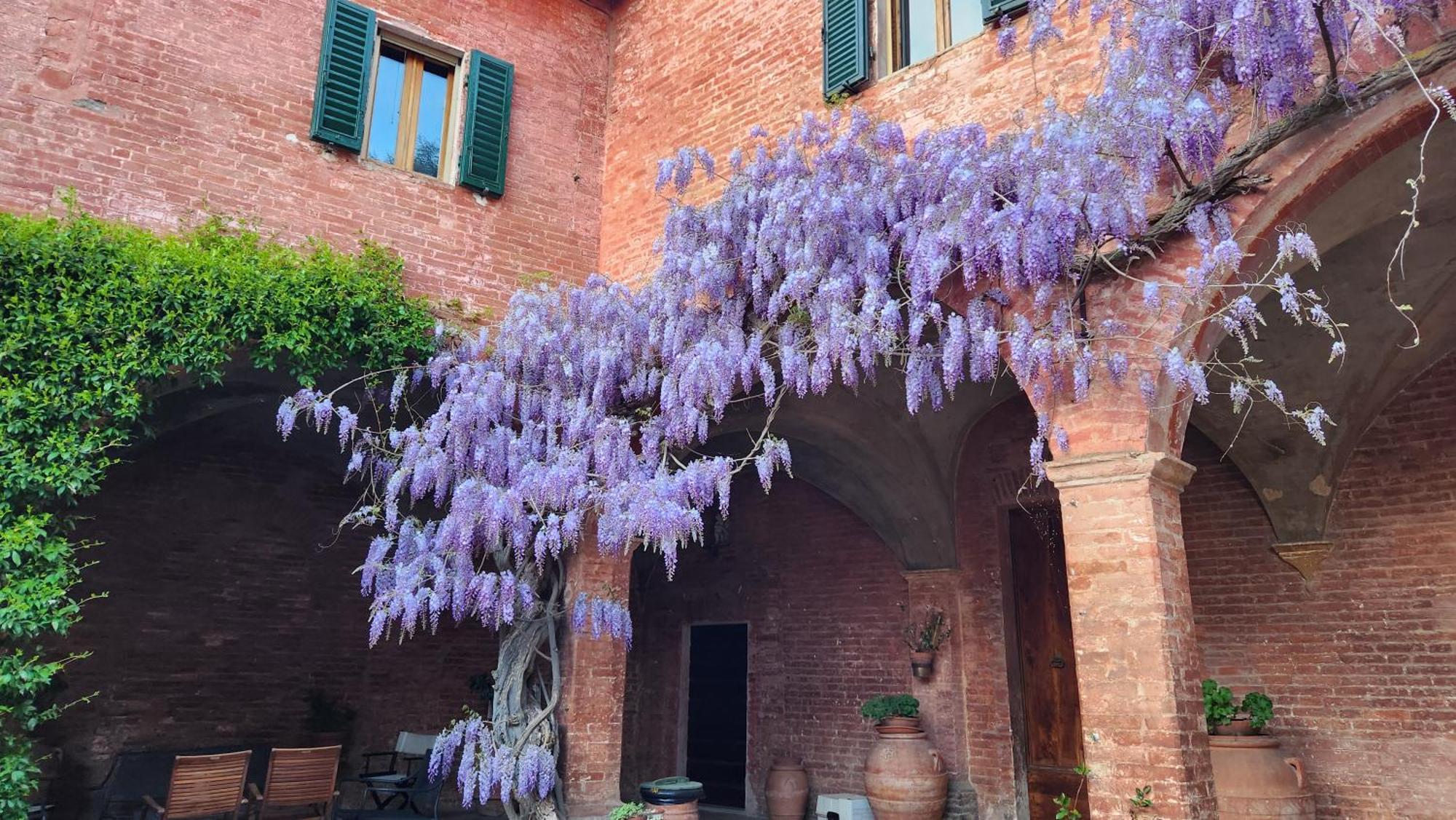 Al Glicine Di Sant'Abondio Villa Siena Exterior photo